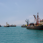 Peru’s Ministry of Production (PRODUCE) has ordered a 13 August close to the year’s first anchovy season in the north-central region.