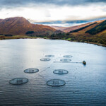 A salmon farm in Scotland, which has exported record volumes to the European Union in 2021, despite complications arising from Brexit.