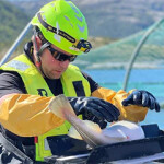 A farmer weighing a farmed cod at Norcod's net pens.
