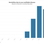Manolin has announced the launch of a new service for Norwegian aquaculture operators that alerts them to the presence of non-notifiable diseases.
