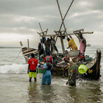 Ghanaian fishery unloading their catch on the shore.