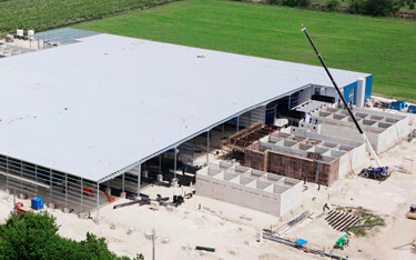 Atlantic Sapphire’s stock value has dropped significantly over the past week.