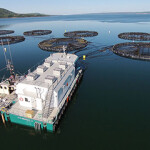 The Maine Department of Environmental Protection announced today that it has closed an investigation into salmon mortalities at a Cooke Aquaculture site.