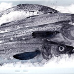 American Seafoods pollock