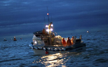 The Alaska summer salmon catch has surpassed 205 million fish, surpassing the preseason prediction of 190 million fish by eight percent.