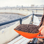 A worker holds a scoop of aquaculture feed near a net pen