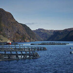 Net pens in the water at a Mowi Canada East facility