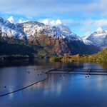 A Multi X salmon farm.