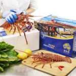 China applied to join the Comprehensive and Progressive Agreement for Trans-Pacific Partnership (CPTPP), but its blockage of Australian lobster imports may be a sticking point.