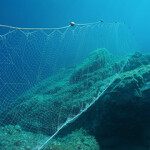 A driftnet underwater