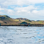 The total volume of Atlantic salmon produced by Scottish fish farmers decreased by 5.8 percent in 2020.