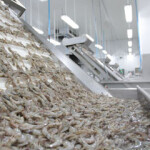 India and Vietnam significantly increased their shrimp exports to the United States in August 2021.
