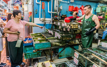 China destroyed 46.7 tons of seafood found to have excess traces of chemicals used in aquaculture.