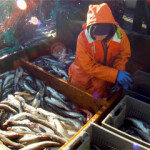Lackluster salmon returns and some fishery closures have Alaskan fishermen wondering about their future.