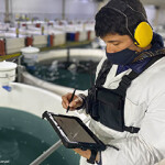 An employee in Chile uses Ecto. The product uses machine learning algorithms to help connect hundreds of points of data and improve decision making in aquaculture.