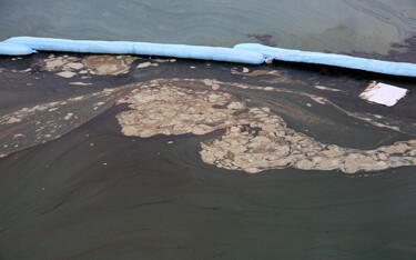 California Commercial fishermen set to receive second oil spill settlement in September