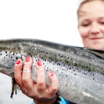 Grieg Seafood ASA harvested approximately 20,500 metric tons (MT) of fish in the third quarter of this year.