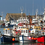 Ireland’s Atypical Work Permit (ATS) scheme is being criticized by both pro-labor NGOs and fishing groups.