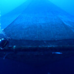 Three U.S. senators have reintroduced legislation that would open the door for expanded aquaculture in American waters.