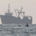 Chinese vessels have been illegally fishing in Somali waters, and an EJF investigation reported horrific abuse of migrant crew and flagrant disregard for environmental regulations.