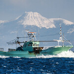 A Japanese fishing boat returns to port in Hokkaido after fishing in the Kuril Islands.
