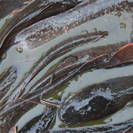 African catfish farms are getting a boost from global investment fund Aqua-Spark.