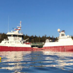 Mowi has experienced mass mortality events at several of its salmon-farming sites in Canada and Ireland.