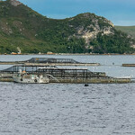 Australia's aquaculture operations will now be represented by a newly-minted Aquaculture Advisory Committee.