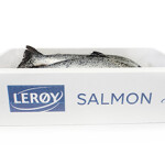 Lerøy Seafood Group saw boosted salmon harvests and increased wild catch in Q3 2021.