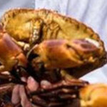 A bill recognizing shellfish as sentient beings is unlikely to have an impact on the seafood, restaurant industries.