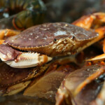 Dungeness crab fisheries across the U.S. West Coast will open on 1 December.