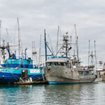 WTO negotiators are planning to meet again soon to narrow differences on a draft agreement to curb harmful fishing subsidies.