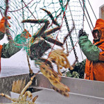 Russian crab fishermen on board an Antey Group boat.