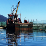 A court of law in southern Chile’s Puerto Aysén ruled that Los Fiordos failed to meet several standards.