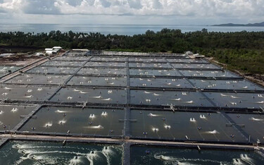 Qian Hu Corporation has signed an agreement to provide an unsecure convertible loan worth SGD 1 million (USD 733,000, EUR 650,000) to AquaEasy.