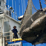 Ocean Outcomes has received new funding for its work on tuna sustainability in Northeast Asia.