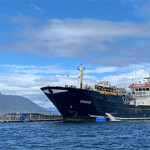 Five grow-out centers in Chile have reported mass mortalities associated with harmful algae, according to Sernapesca.