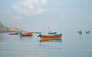 Small Pakistani fishing boats.