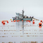 The U.S. Department of Agriculture announced a USD 500,000 (EUR 442,000) grant for Alaska’s Southeast Conference to boost mariculture and the blue economy in the state.