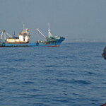 Chinese subsidies to the country’s distant-water fishing industry are more extensive than those allowed in competing nations and threaten both wild fish stocks and coastal communities in economically vulnerable areas, according to experts watching the sector.