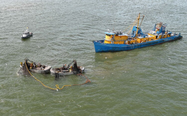 NOAA researchers are working on a methodology for learning about potential sea turtle interactions with purse seines in the Gulf of Mexico.