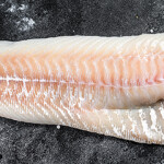 The global cod supply will contract by around 50,000 metric tons (MT) in 2022, continuing a long-term trend that has been occurring since 2016, experts predict.