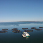 Cooke Inc. subsidiary Kelly Cove Salmon has received approval from the Nova Scotia Aquaculture Review Board for a boundary amendment that will allow for the expansion of its Rattling Beach salmon farm.