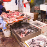 Government officials and executives from China’s distant-water fishing sector are teaming up to promote increased consumption of the distant-water catch in interior regions of the country as a way of taming price inflation and conserving local fisheries.