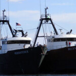 Seafreeze Fleet LLC, said the cost of the monitoring, which ranges between USD 750 (EUR 663) and USD 850 (EUR 751) per day, is more than the profit they earn for one day at sea.