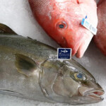 Fish on a bed of ice.