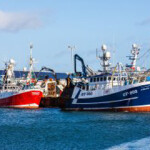 Global fishmeal production rose by 3.6 percent in 2021, while fish oil product dropped by 6 percent.