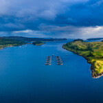 Exports of farm-raised Scottish salmon, the United Kingdom’s most valuable food export, recovered to near-record figures in 2021.