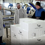 Nordic Halibut containers stacked at a processing facility.