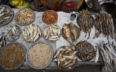 The Blue Food Assessment aims to provide the seafood industry and retailers an opportunity to differentiate seafood based on sustainability metrics.